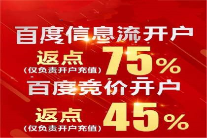 信息流广告投放策略优化：实战案例分析
